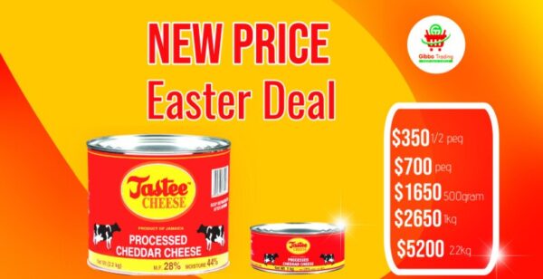 Tastee Cheese 500g Tin - Image 2