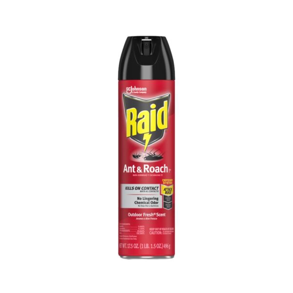 Raid Ant & Roach Killer Outdoor Fresh 17.5oz