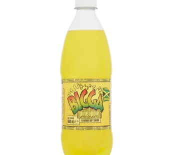 Bigga Drink Assorted 20oz